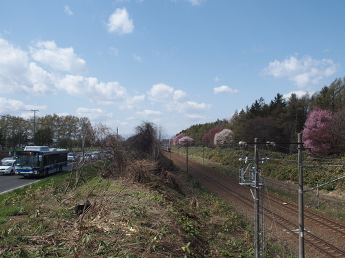 f0027355_15493094.jpg