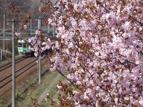 f0027355_160111.jpg