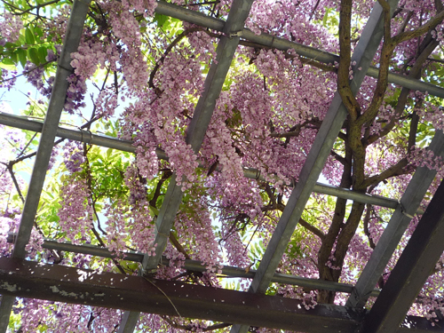 b0045357_8465972.jpg