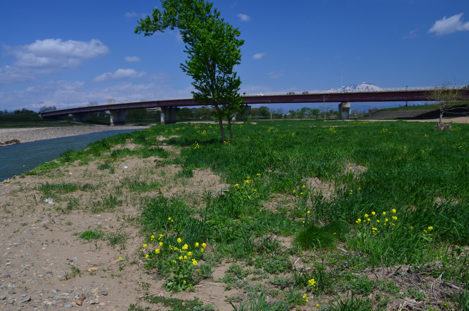 d0283357_1636147.jpg