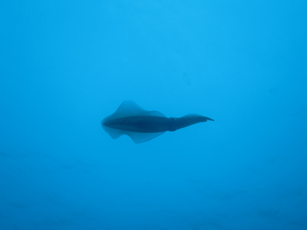 b0062363_16543490.jpg