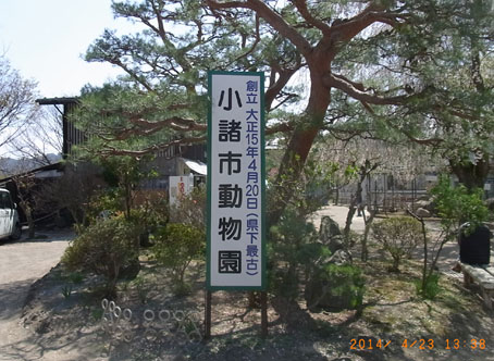 b0075364_541141.jpg