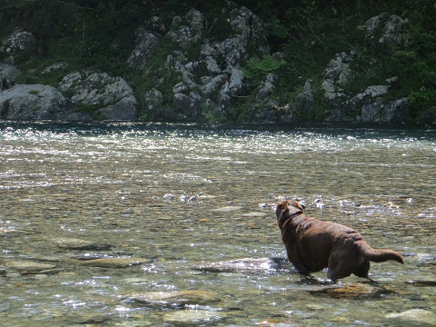 d0120665_2204150.jpg