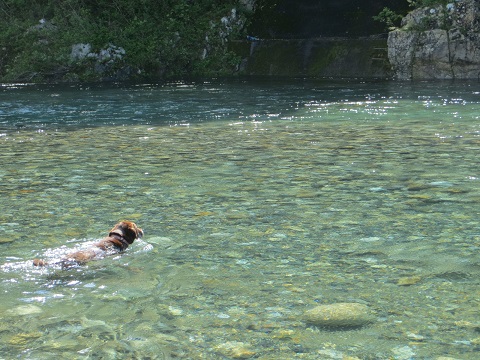 d0120665_221296.jpg