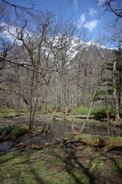 e0307372_14252556.jpg