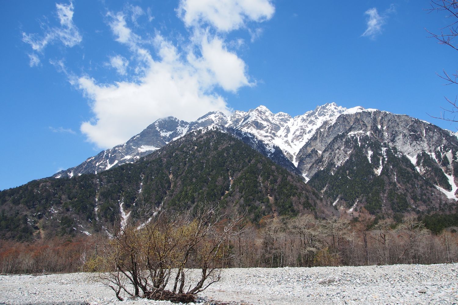 e0307372_14395961.jpg