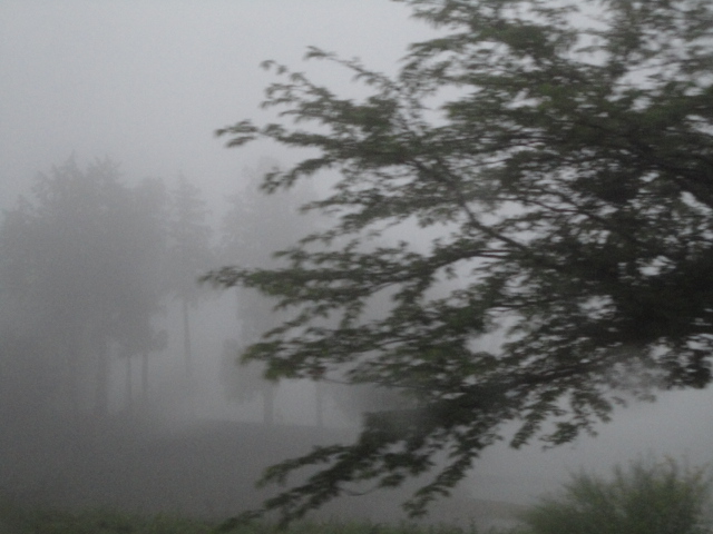 d0109373_1203955.jpg