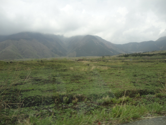 d0109373_20464769.jpg