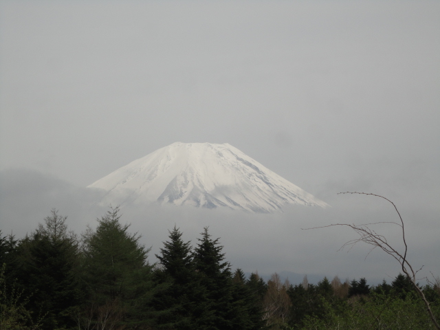 d0109373_21524255.jpg