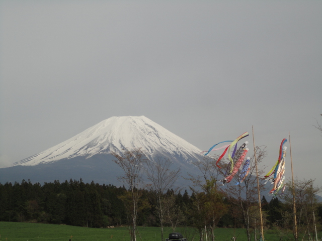 d0109373_22235499.jpg