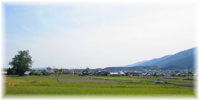 d0175974_2020161.jpg