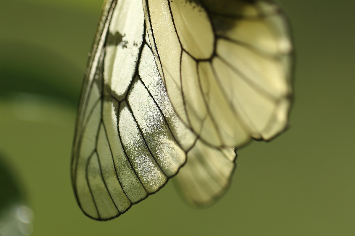 e0249878_20270637.jpg