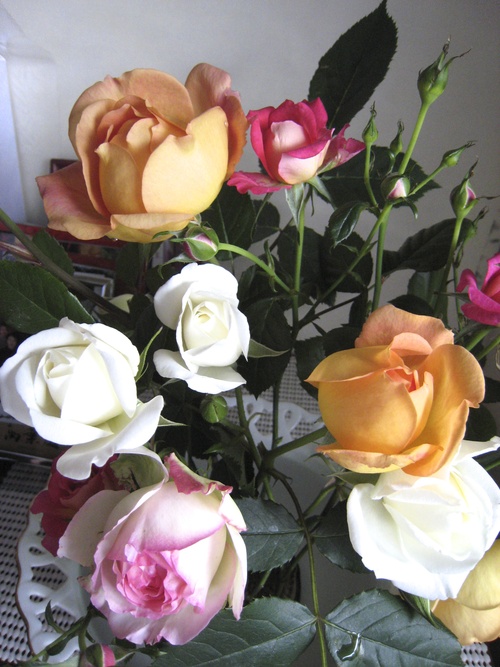 e0275478_20122760.jpg