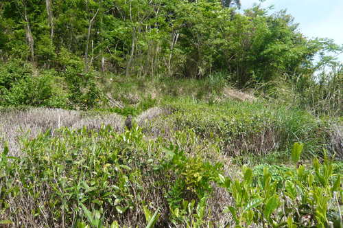 f0215179_11132527.jpg