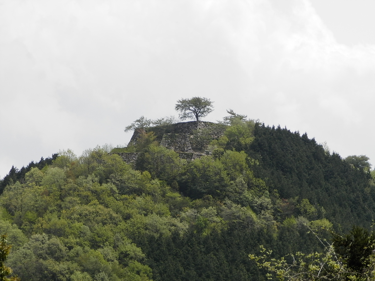 f0181793_1236847.jpg