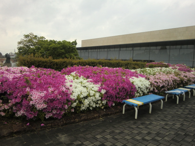 b0044296_22174425.jpg
