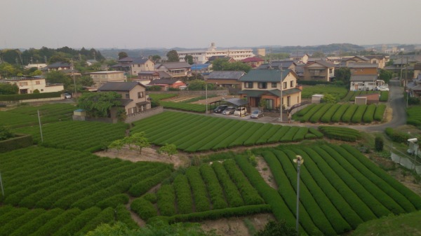 e0238098_21533542.jpg