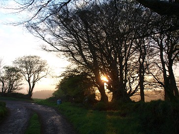 b0110999_17293114.jpg