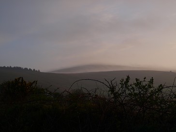 b0110999_17294415.jpg