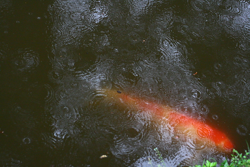 f0083400_1936319.jpg