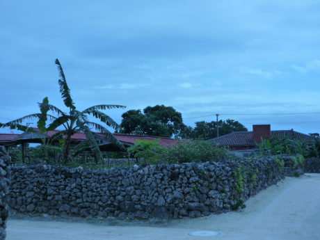 f0250403_21065184.jpg
