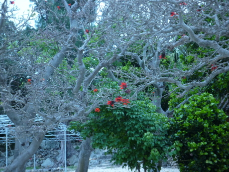 f0250403_21071438.jpg