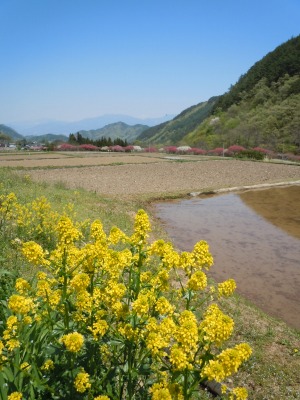 c0117007_214725100.jpg