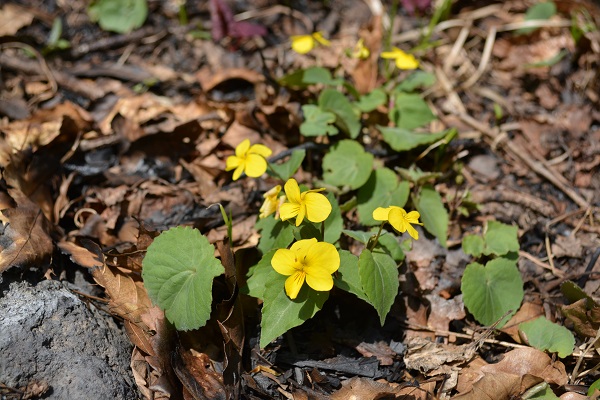 b0277008_873550.jpg