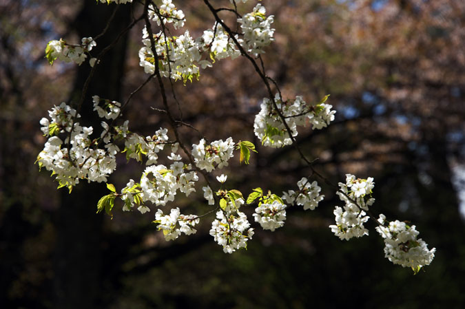 a0263109_2159539.jpg