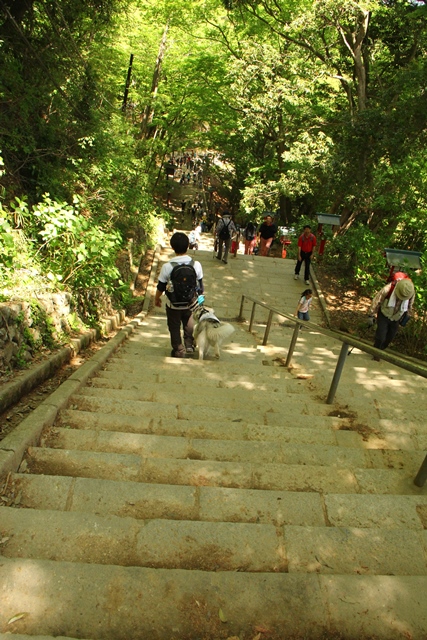 b0207615_23000291.jpg