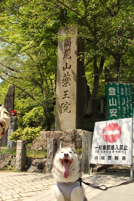 b0207615_23000849.jpg