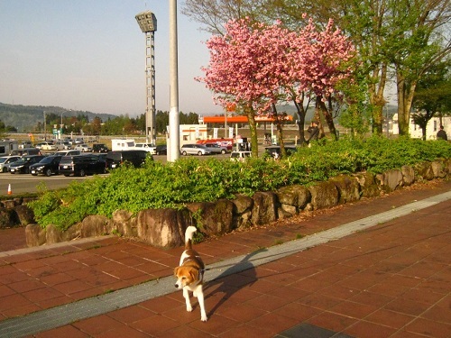 c0084117_13123253.jpg