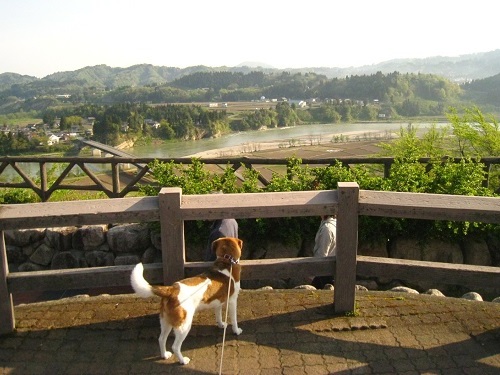 c0084117_13142585.jpg