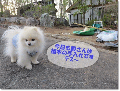 b0167519_20424090.gif