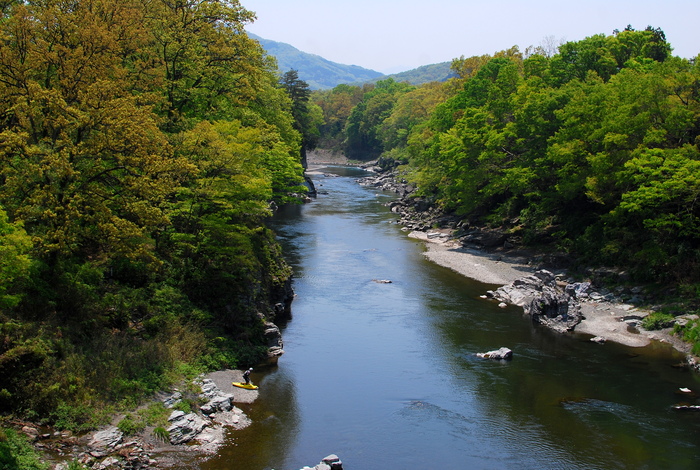 c0197219_052843.jpg