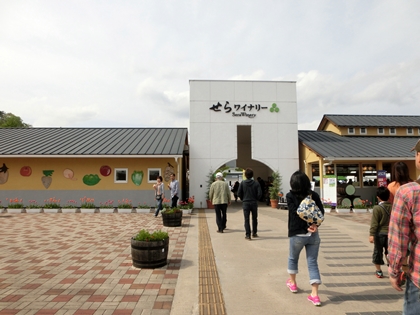 a0105023_631131.jpg