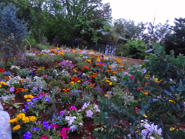 e0016828_1449714.jpg