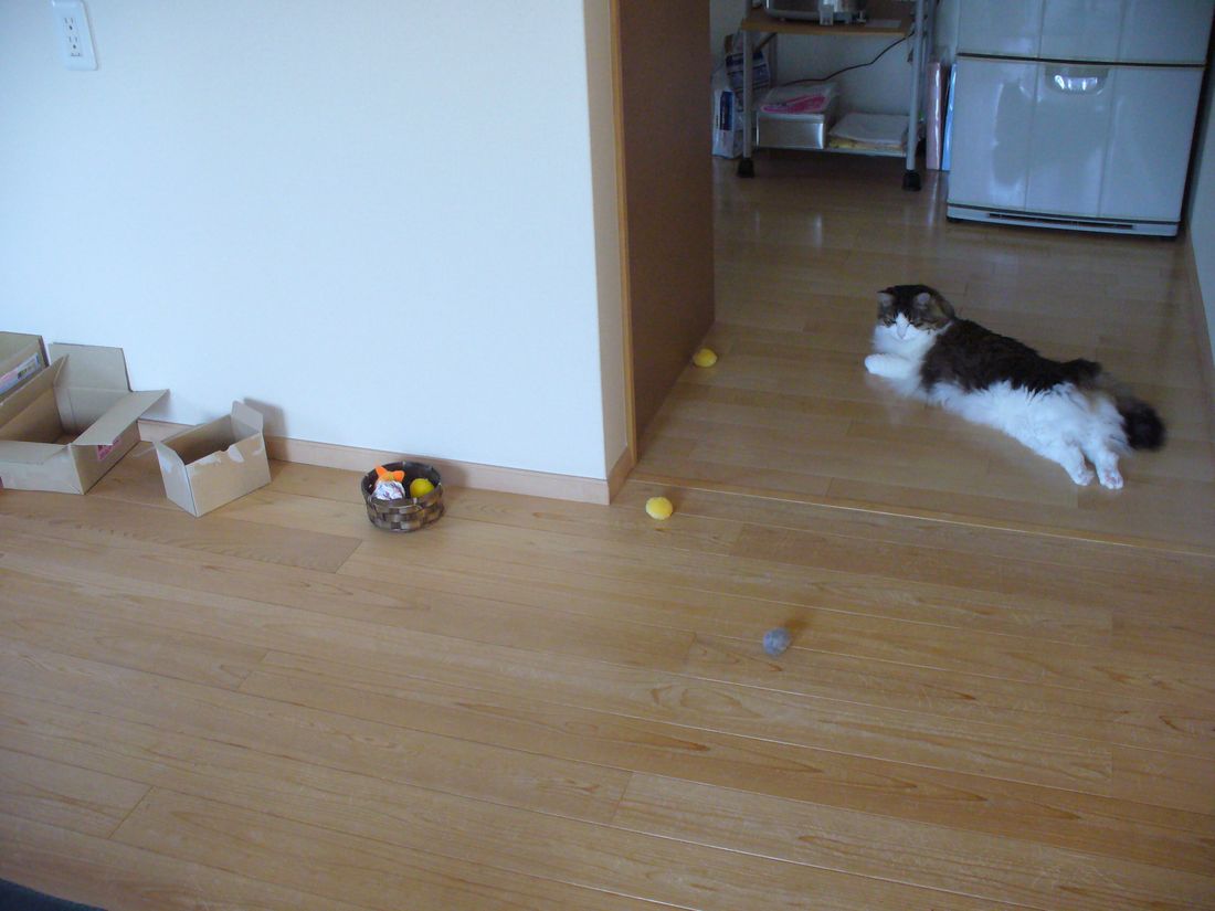 f0275632_2204477.jpg