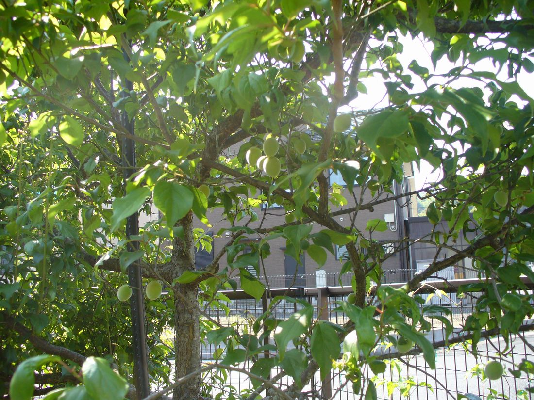 f0275632_22205036.jpg