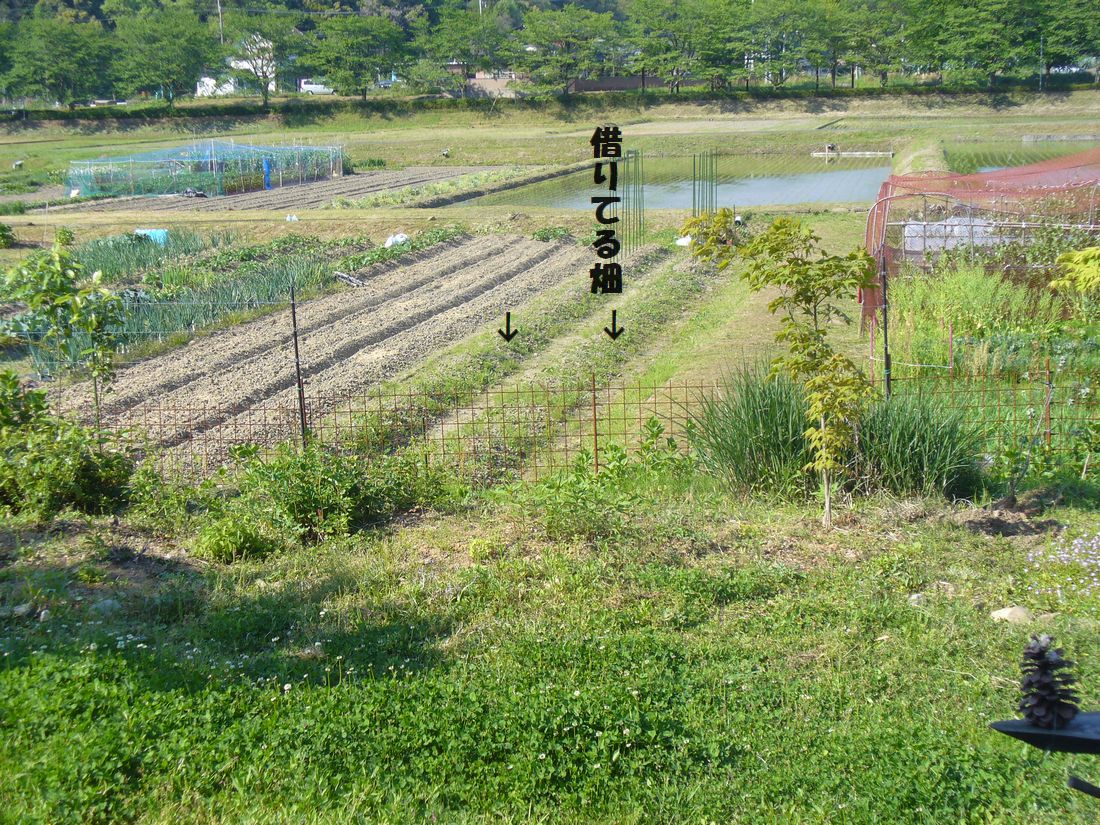f0275632_22302448.jpg