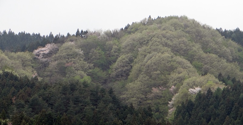 d0037233_9385693.jpg