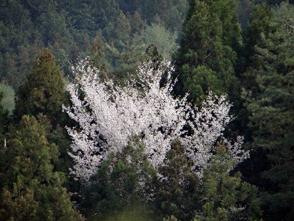 d0037233_9404874.jpg