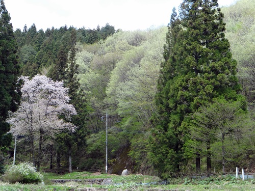 d0037233_941370.jpg