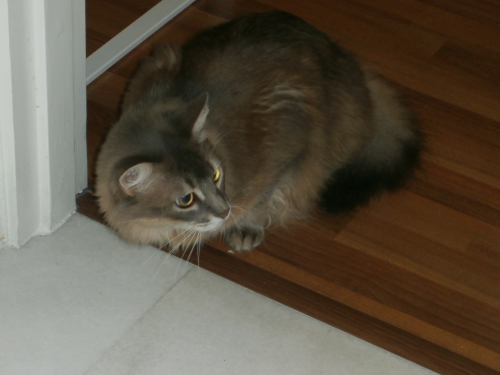 f0339434_11063485.jpg