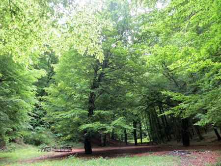 f0234936_5253246.jpg