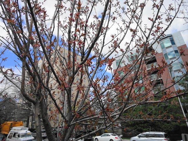 a0224537_31884.jpg