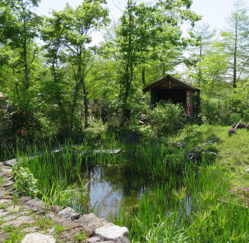 b0178339_20114486.jpg