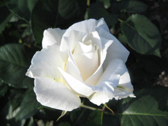 f0247039_21324563.jpg