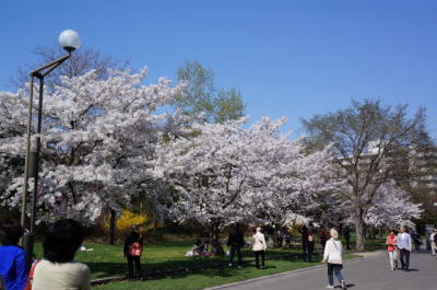 b0001440_16122269.jpg