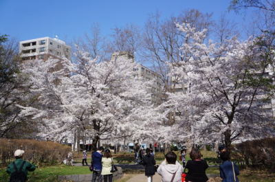 b0001440_16124668.jpg